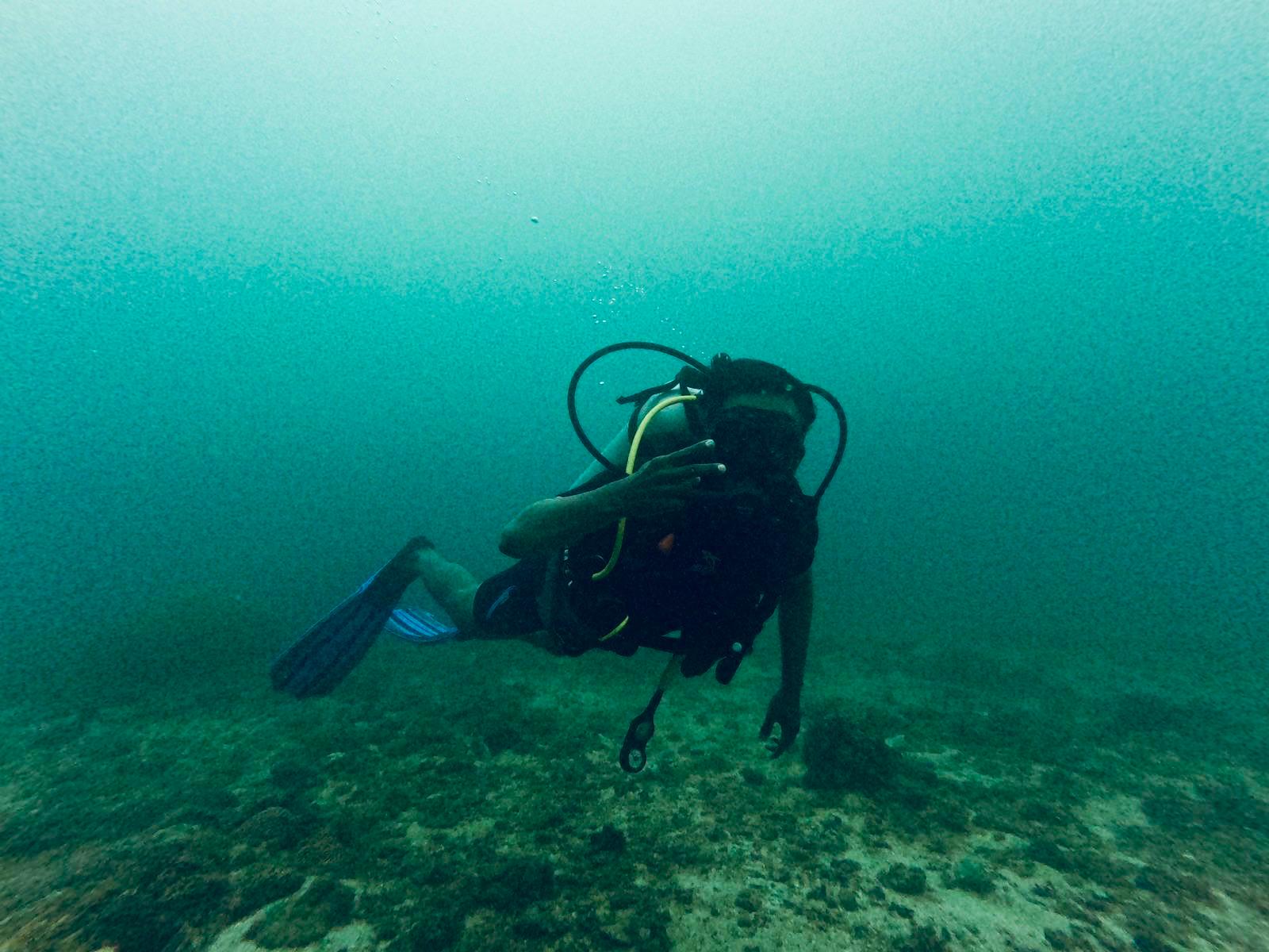 Diving image 7